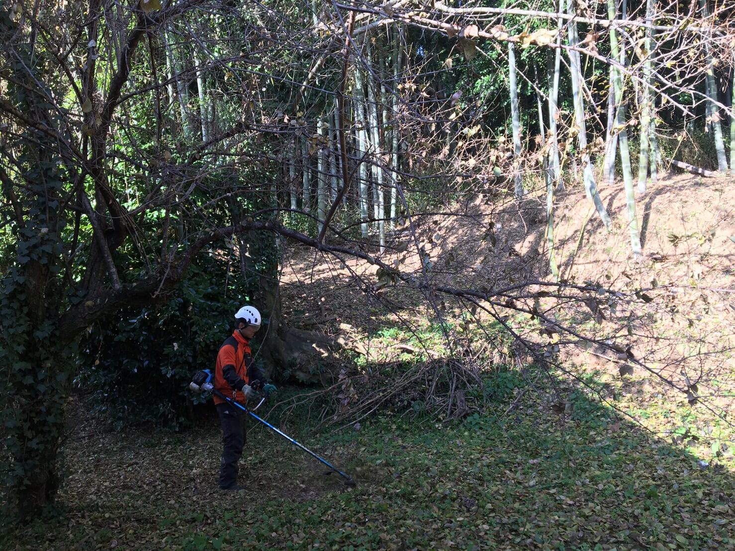 裏庭作業状況(スタッフ藤本)